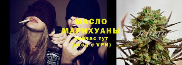 гидра Майский
