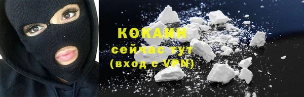 гидра Майский