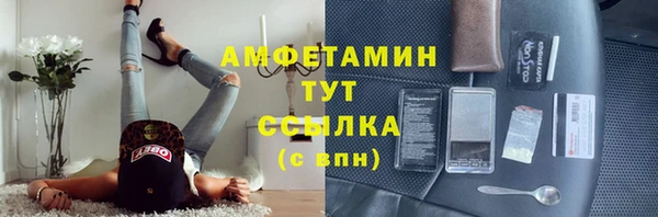гидра Майский