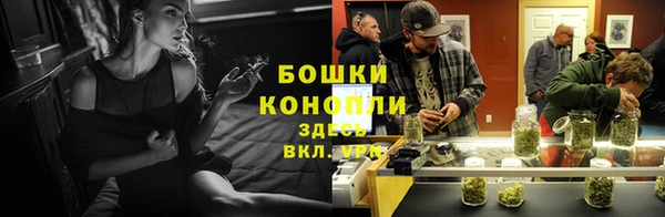 винт Мегион