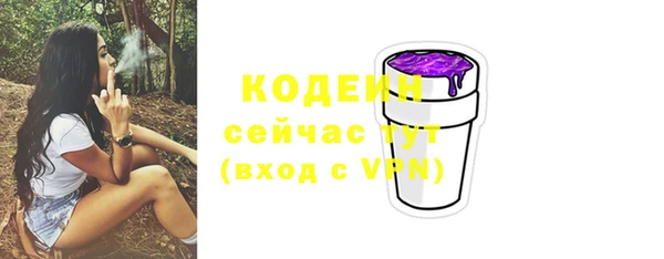 гидра Майский